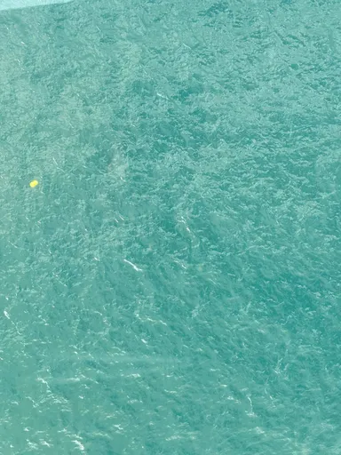 Songdo Ocean