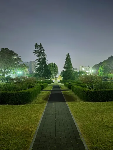 Yonsei