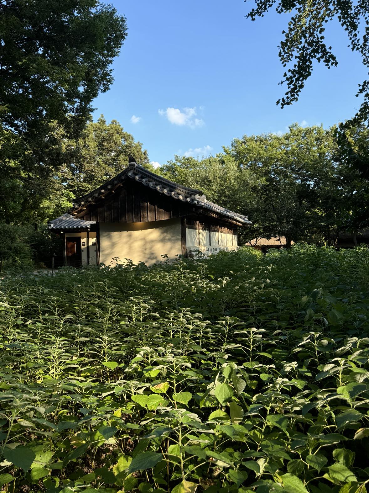 Korean Folk Village