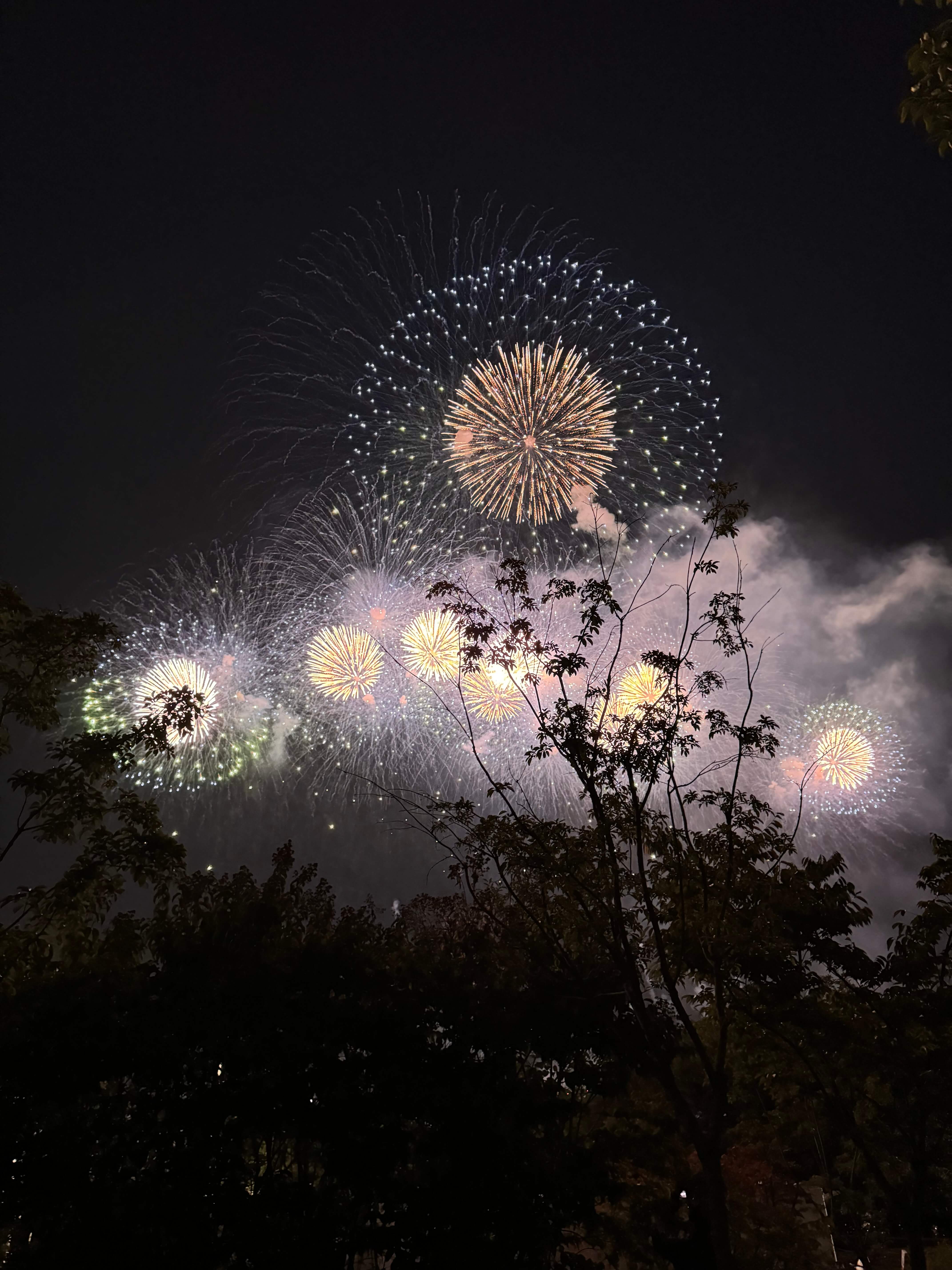 Seoul Fireworks Festival 2024